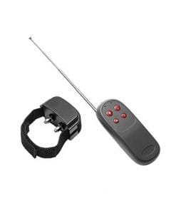 Cock Shock Remote